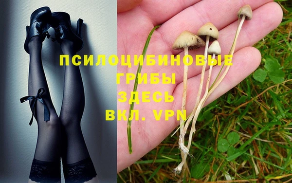 не бодяженный Волоколамск