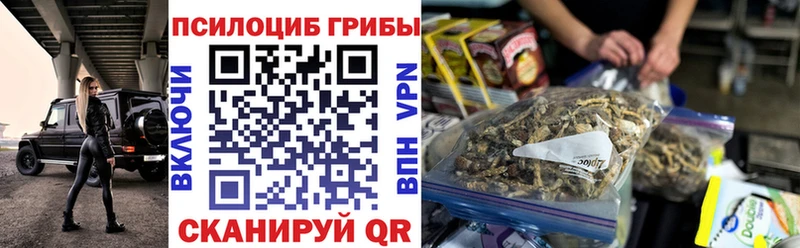 купить наркотики сайты  Тверь  Псилоцибиновые грибы Magic Shrooms 